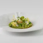 فندق Steigenberger Icon Parkhotel